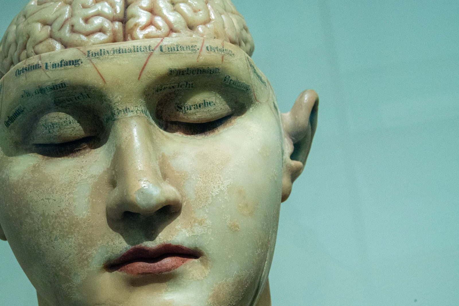 Brain Damage Caused by Sleep Apnea Can Be Reversed With Treatment